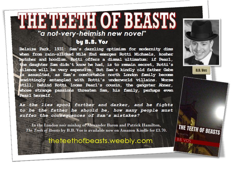 advert for book